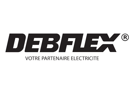 Logo Debflex